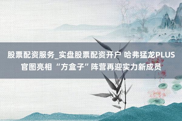 股票配资服务_实盘股票配资开户 哈弗猛龙PLUS官图亮相 “方盒子”阵营再迎实力新成员